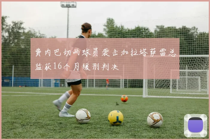 费内巴切两球员袭击加拉塔萨雷总监获16个月缓刑判决