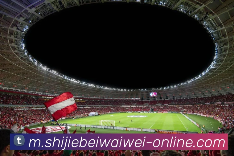 登录器